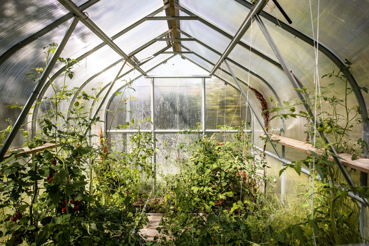 Växthus Wärdshusvägen 18