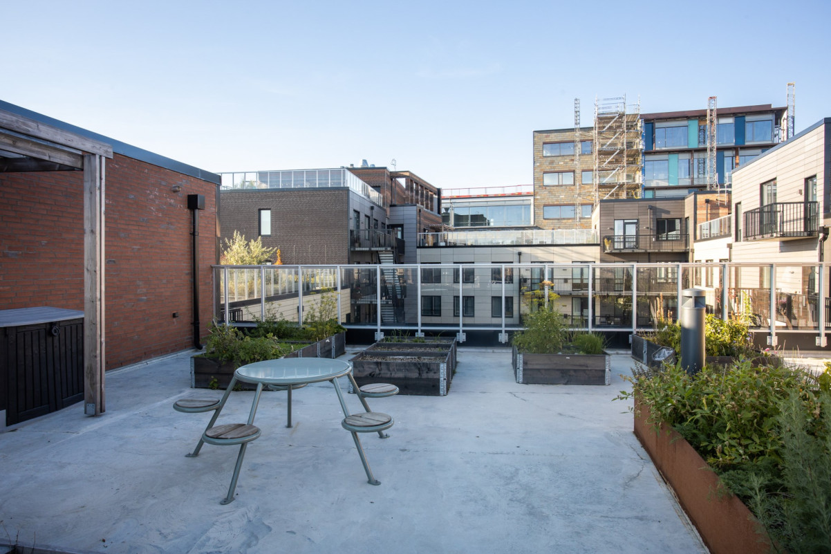 Gemensam takterrass Baltzars gränd 3