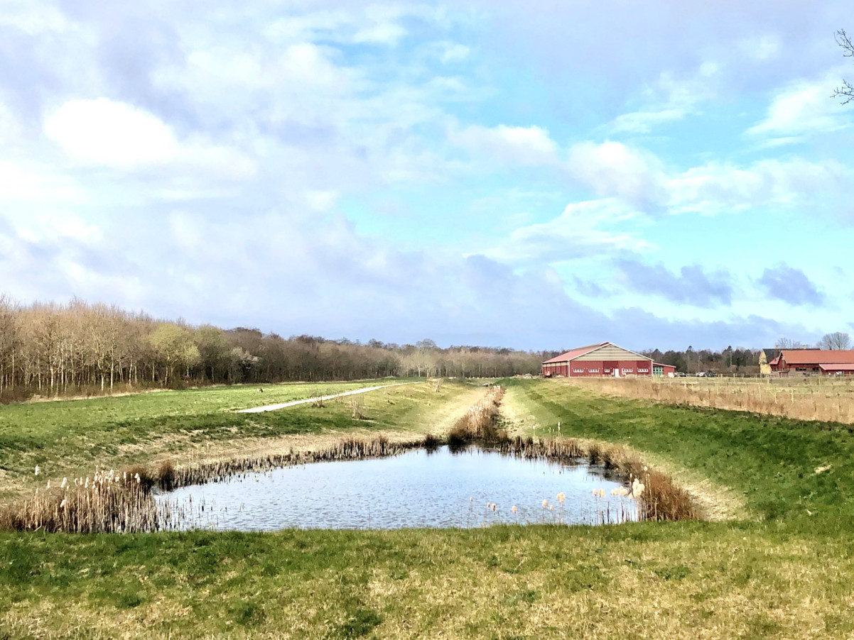 Pålsjö gård Kantorsgatan 17B