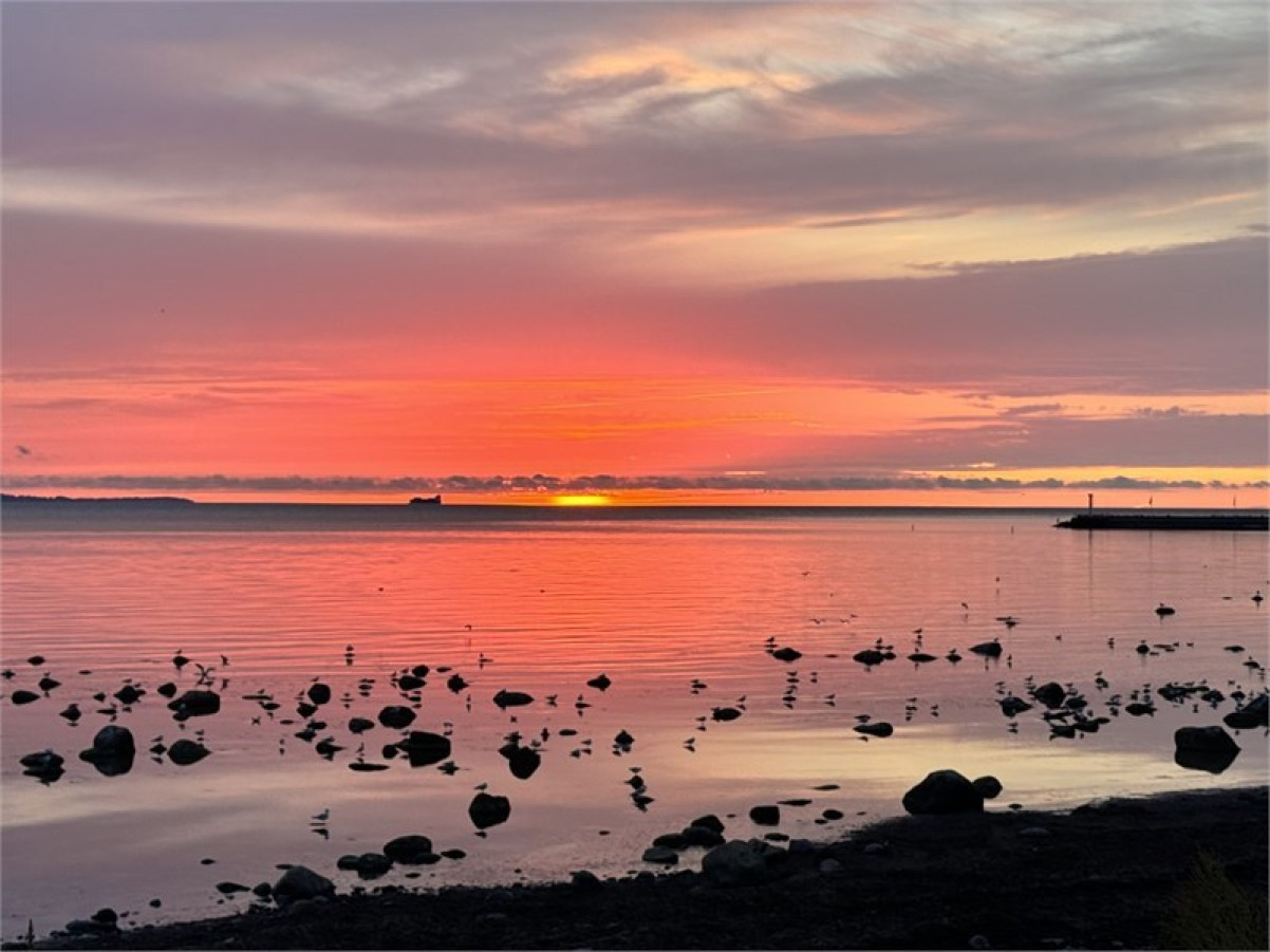 Lilly Håkanssons gata 8C