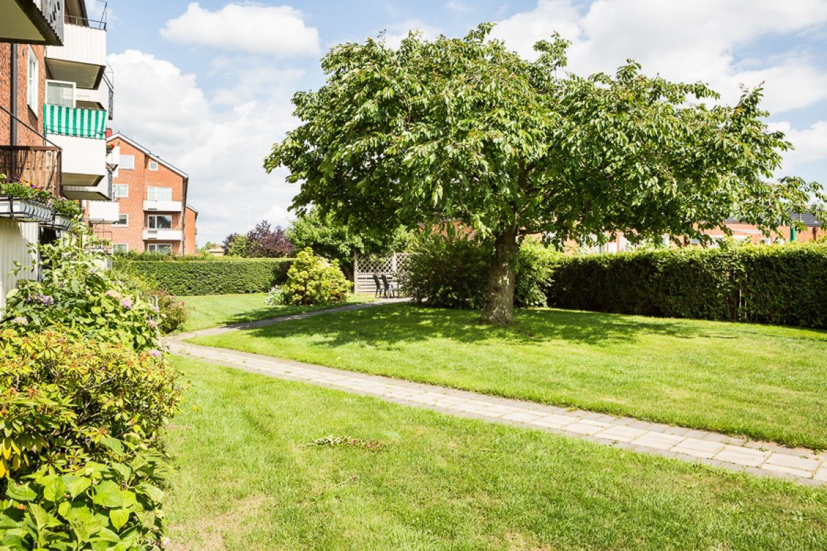 Utemiljö Ystadsgatan 12C