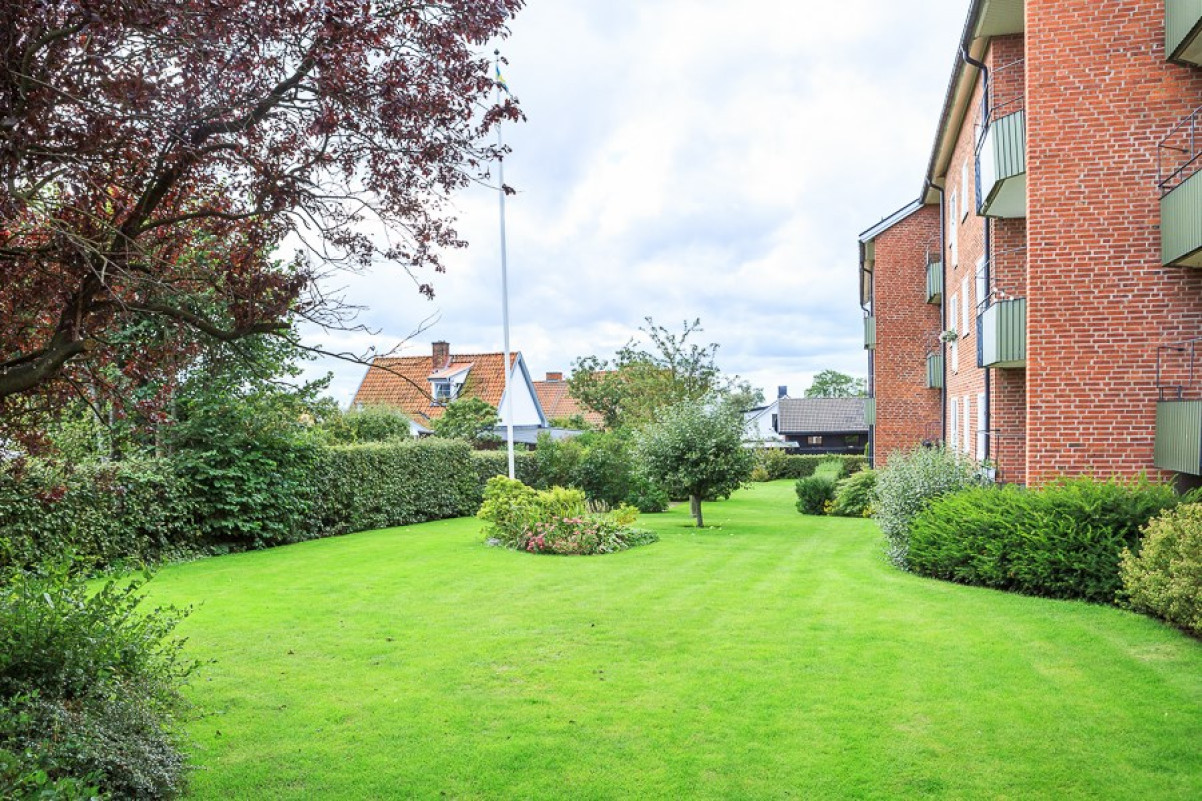 Föreningens gemensamma trädgård på balkongsidan Ystadsgatan 12C