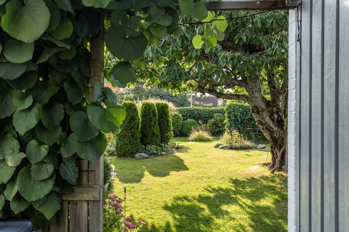 En underbar trädgård Sandskäddevägen 12