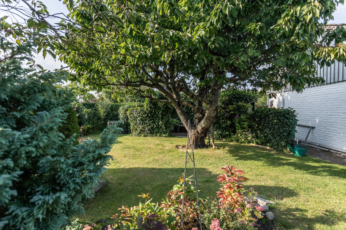 Trädgårdsbild Sandskäddevägen 12