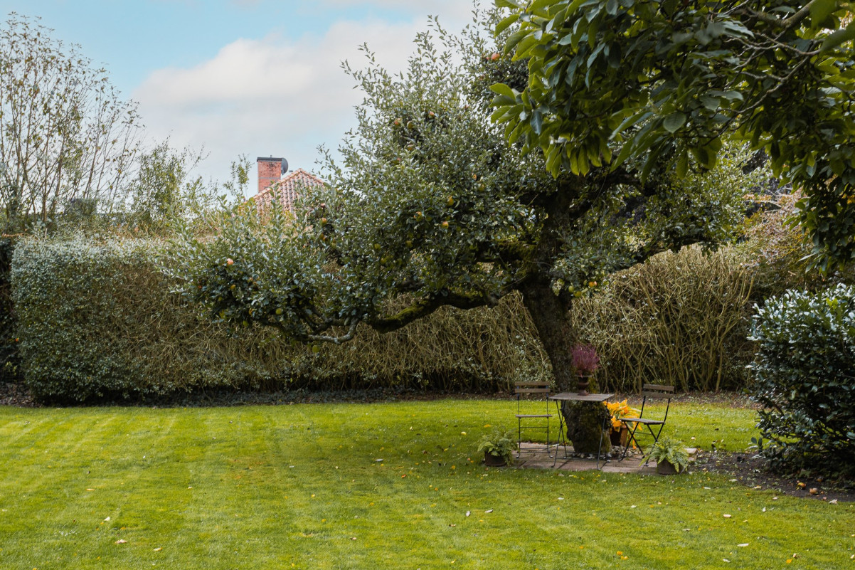 Gräsmatta - Perfekt för en pool eller hopp och lek Långåkersgatan 2