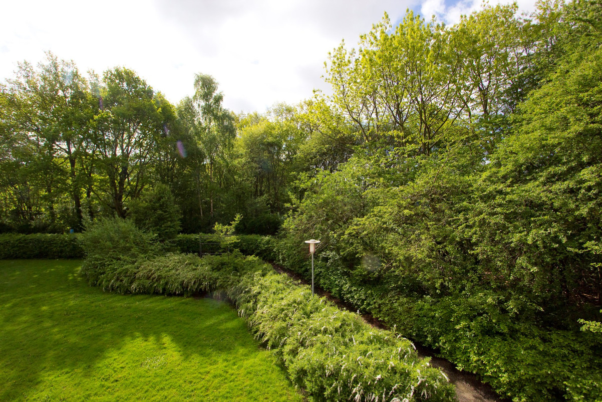 Utsikt från balkongen Ryttmästaregatan 13D