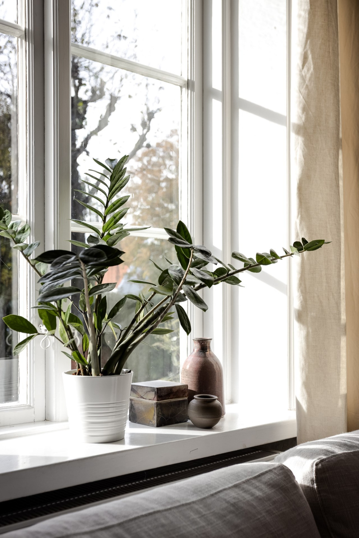 Ljusinsläppet genom de spröjsade fönsterna Värmlandsgatan 10