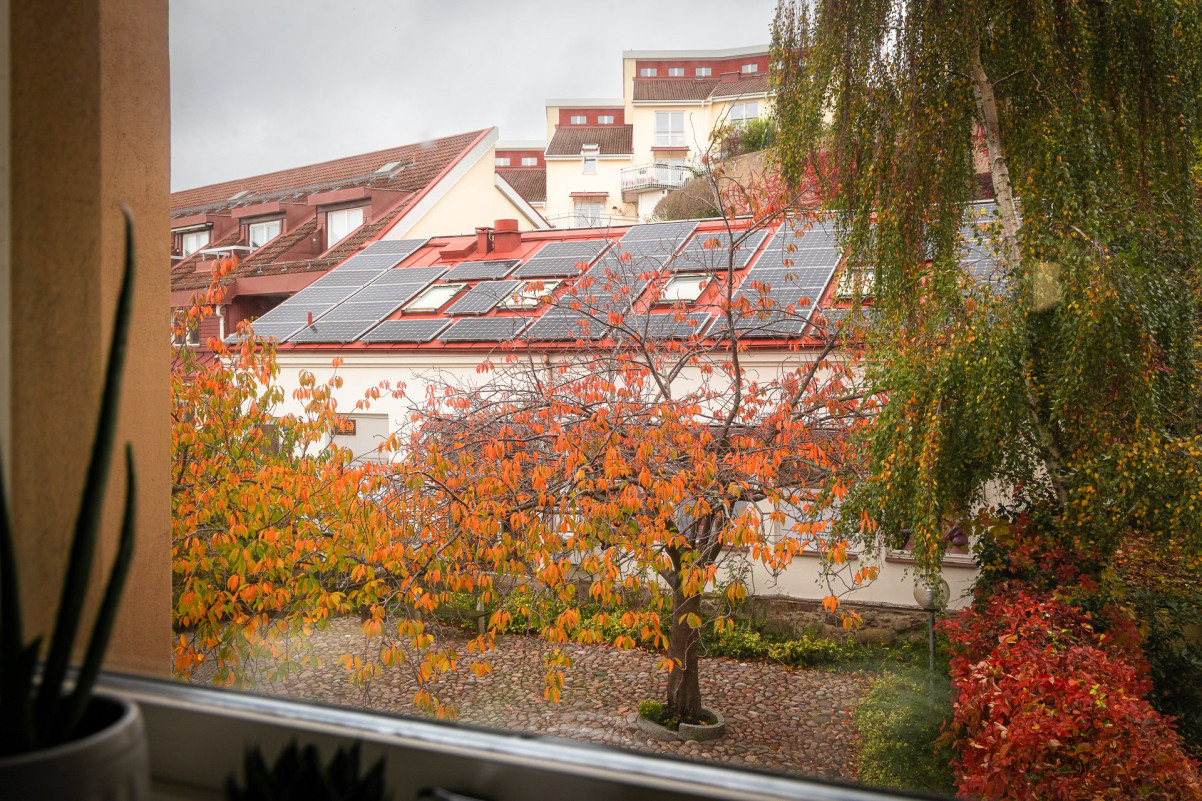  Nedre långvinkelsgatan 21