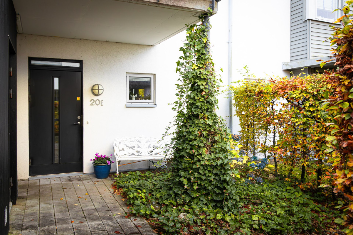  Mölle hamnallé 20E