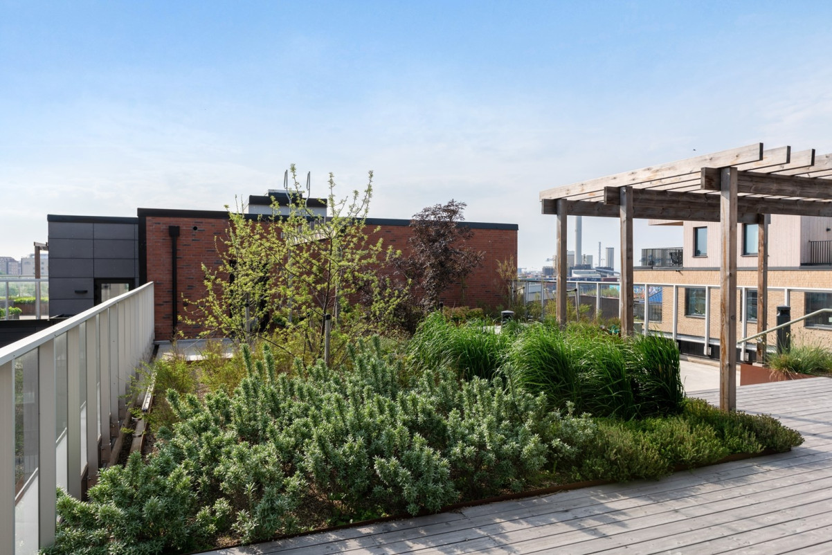 Gemensam takterass vilken är fri att nyttja för boende i föreningen. Redaregatan 34