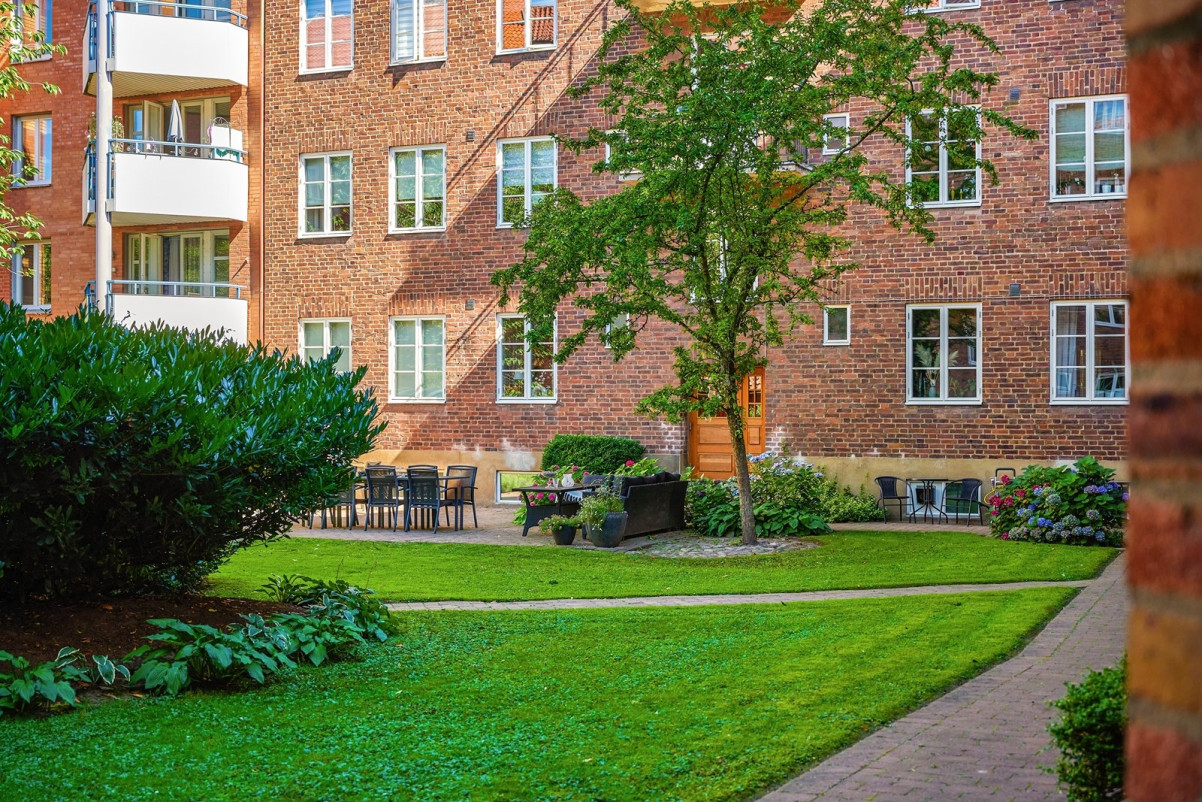 Föreningens grönskande innergård. S:t Peders gata 19