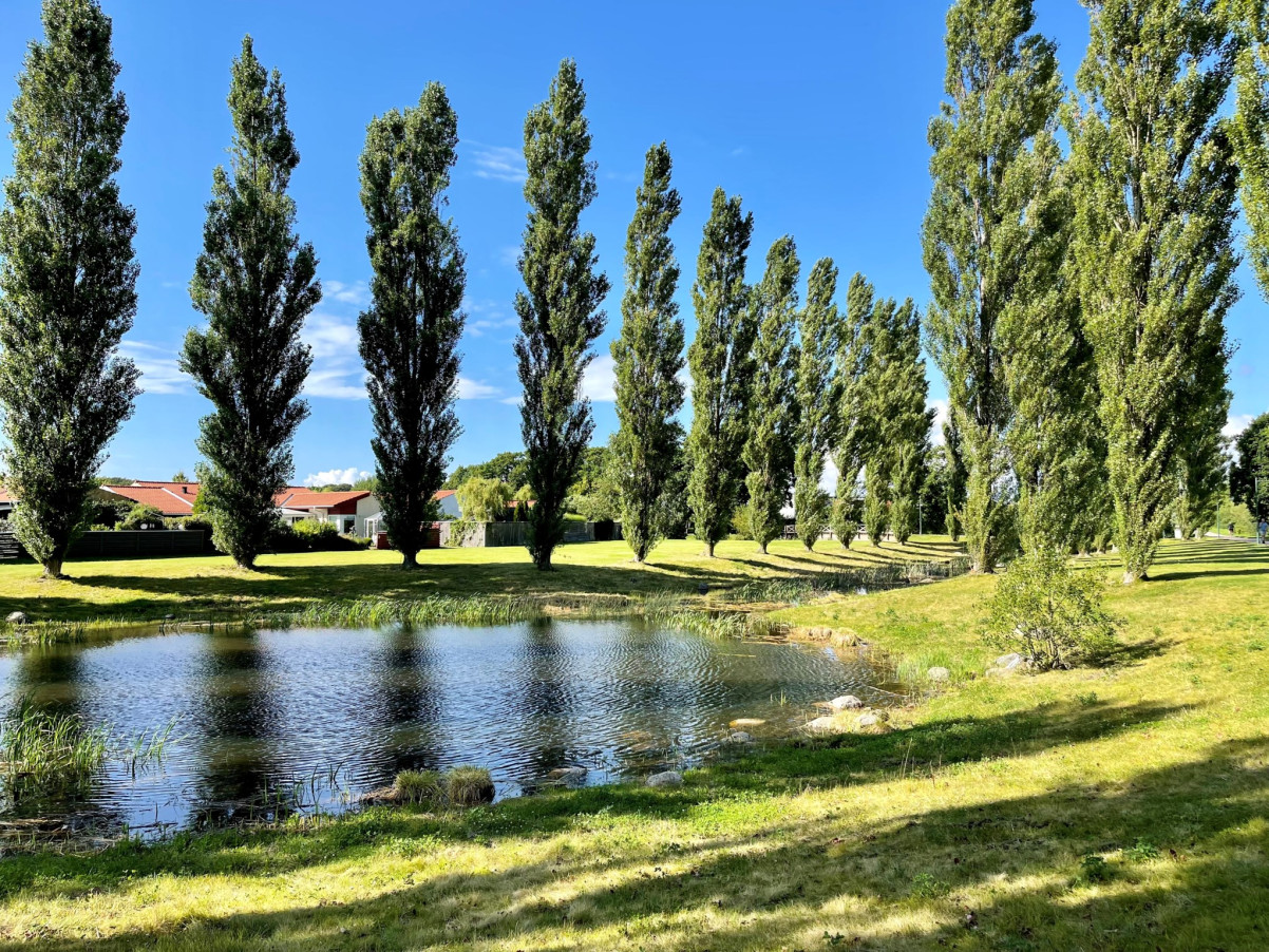 Fin näromgivning Björktrastgatan 2