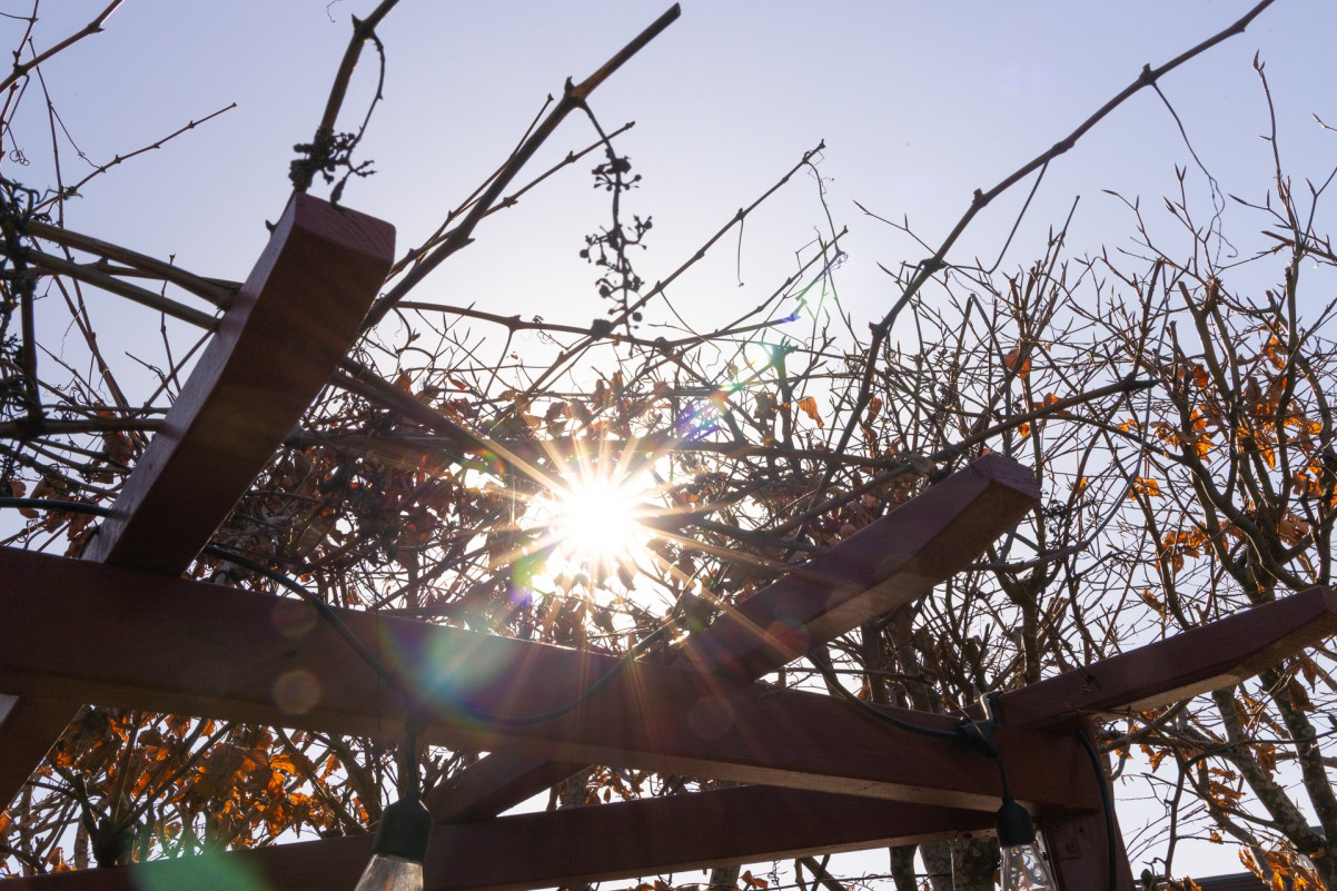  Törnsångaregatan 9