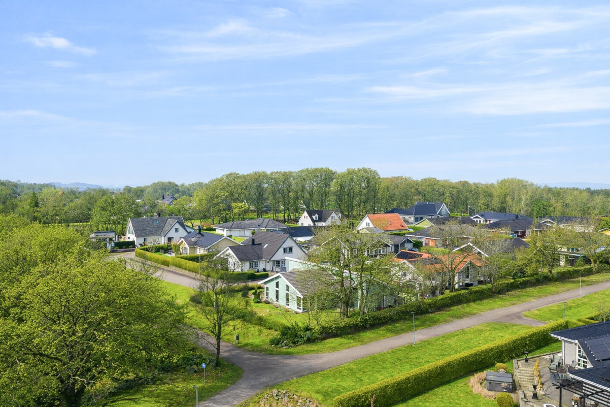 AI redigerad bild på grönska.Avvikelse på omgivande grönska förekommer Medeltidsvägen 13