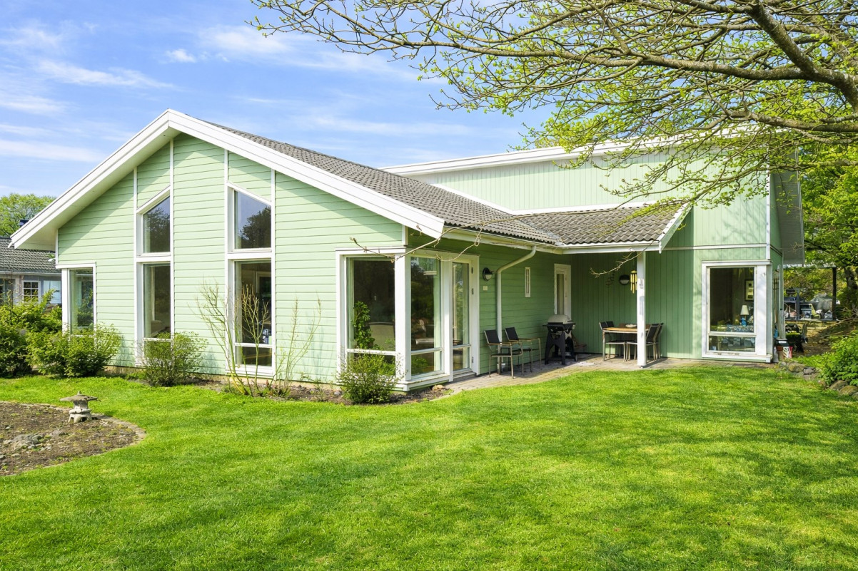 Baksida. AI redigerad bild på grönska. Viss avvikelse kan förekomma Medeltidsvägen 13