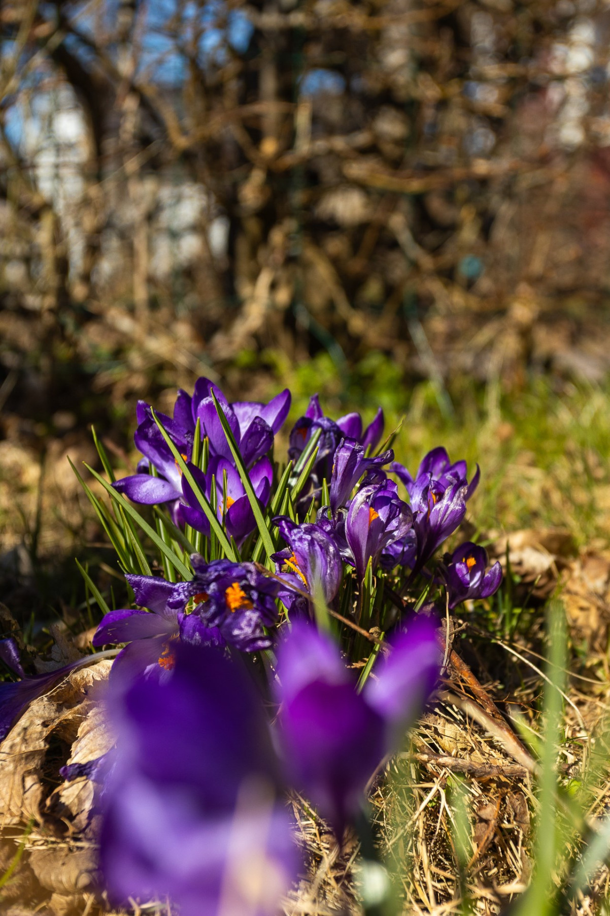  Bror Engkvists Gata 30, Vallmogången stuga 111