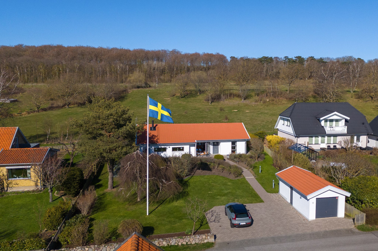 Läget är magnifikt Fågelsången 12