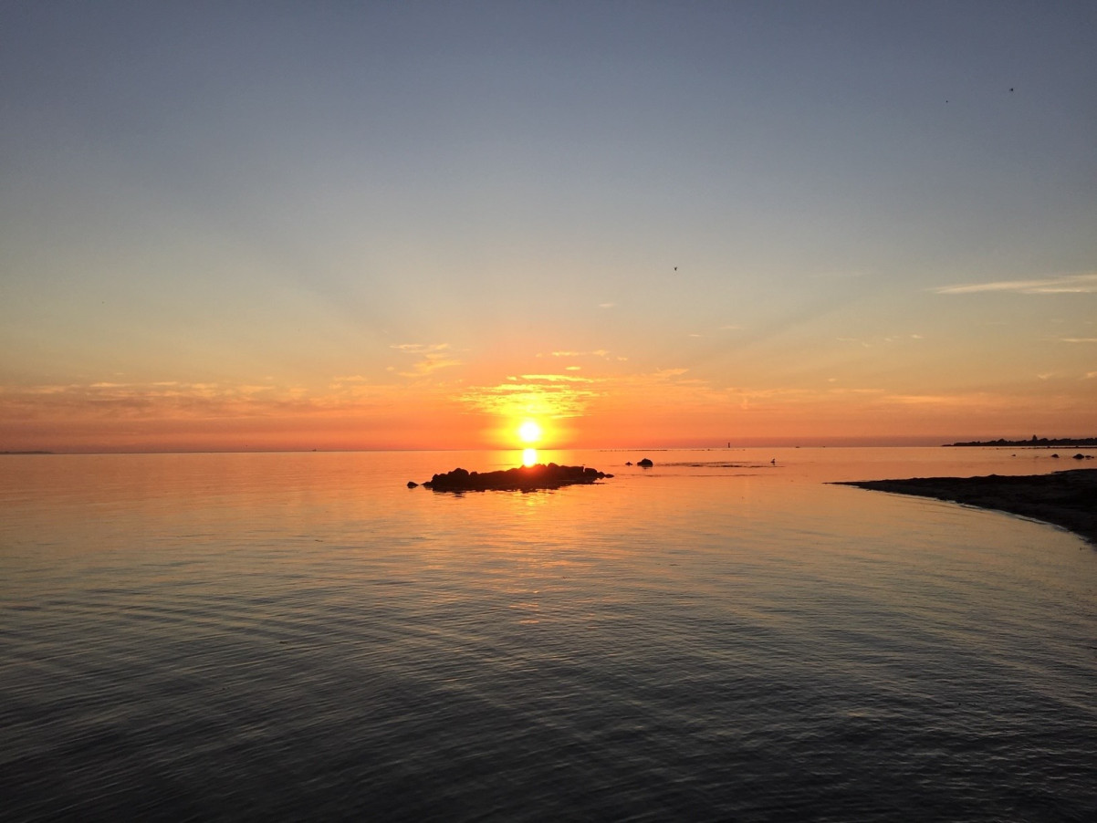 Domstens solnedgång Fågelsången 12