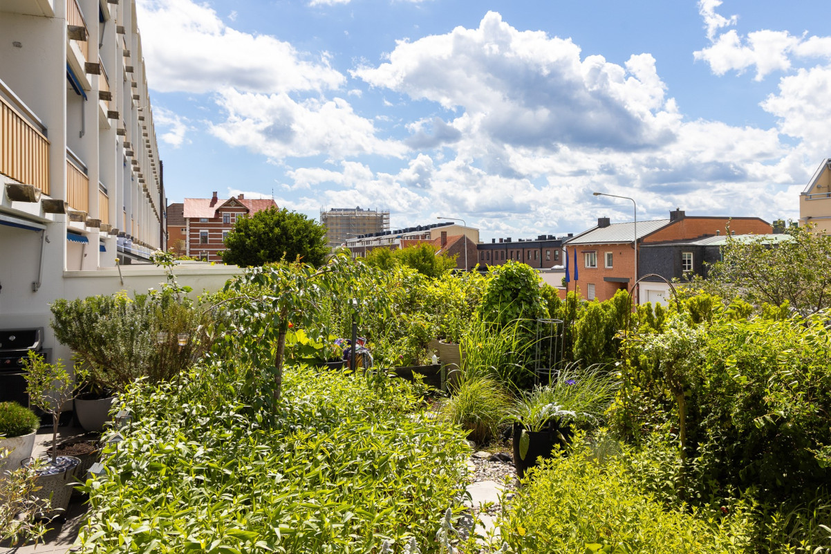 Tillhörande trädgård för blommor, odling med mera Drottninggatan 178B